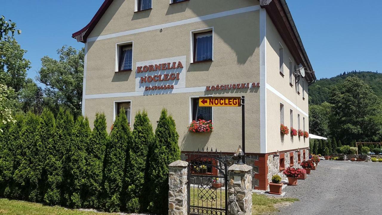 Kornelia Pokoje Goscinne Stronie Śląskie Dış mekan fotoğraf